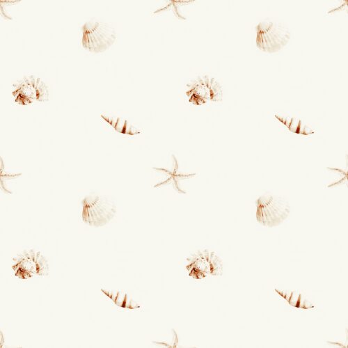 Vanya Minimalist Designs - Seashells