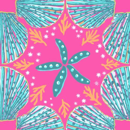 Lindsay Anne - Shellsinrhythmreefrasp