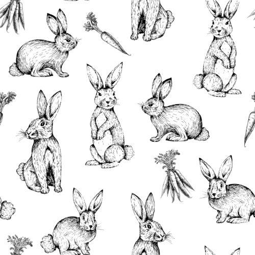 Hip Kid Design - Sketch Bunnies