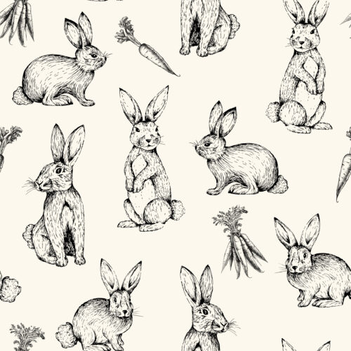 Hip Kid Design - Sketch Bunnies on Cream