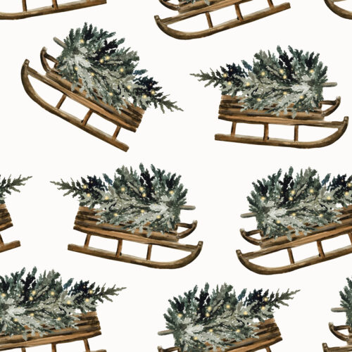 Hip Kid Design - Sledding Adventures