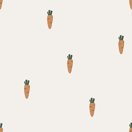 Vanya Minimalist Designs - Small Carrots