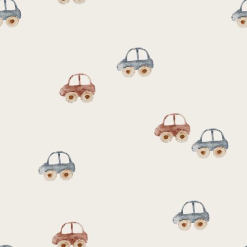 Vanya Minimalist Designs - Small Cars