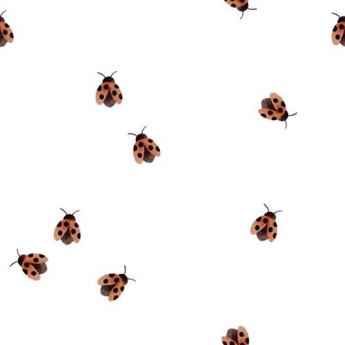 Vanya Minimalist Designs - Small Ladybug 01