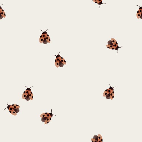 Vanya Minimalist Designs - Small Ladybug 02