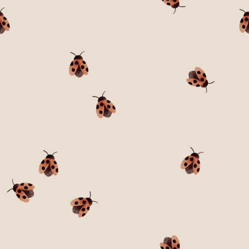 Vanya Minimalist Designs - Small Ladybug 03