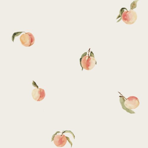 Vanya Minimalist Designs - Small Peaches