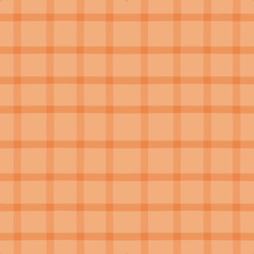 Small Plaid Eraser Orange