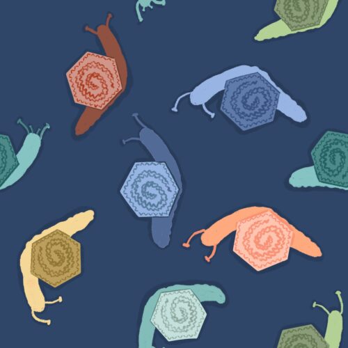 Lindsay Anne - Snails Navy