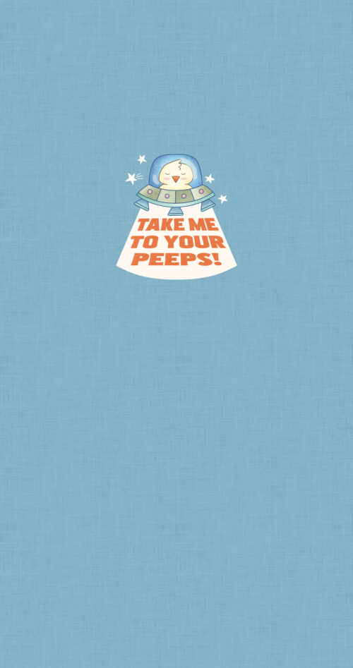 Krystal Winn - Space Bunny Panel Peeps Boy