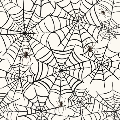 Hip Kid Design - Spider Web Halloween