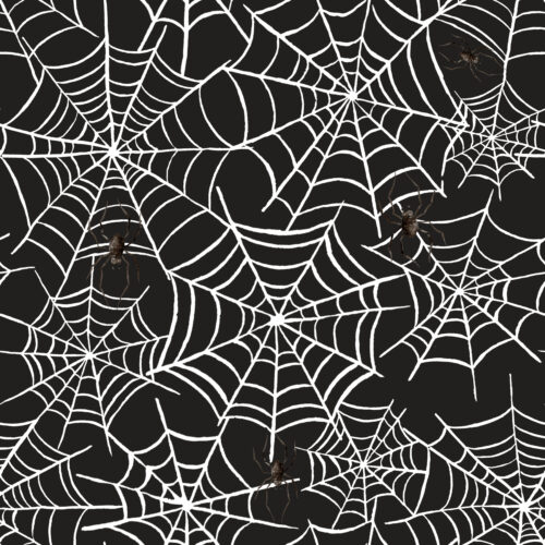 Hip Kid Design - Spider Web Halloween on Black