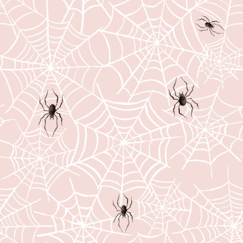 Hip Kid Design - Spider Web Halloween on Blush