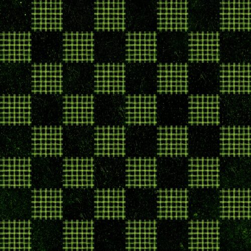 Lindsay Anne - Spooky Lane Checks   Green Glow