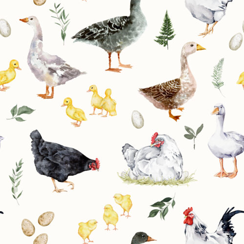 Hip Kid Design - Springtime Chickens and Ducks