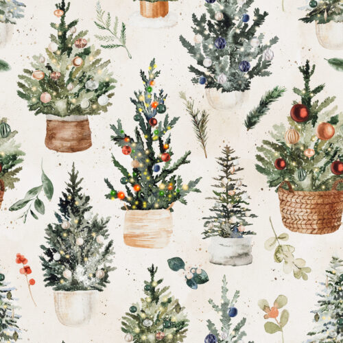 Hip Kid Design - Spruced Up