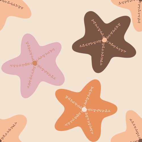 Casey Gowers - Starfish Cream