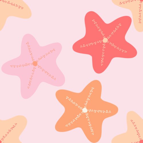 Casey Gowers - Starfish Pink