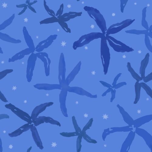 Lindsay Anne - Starfishstaccatoblueocean
