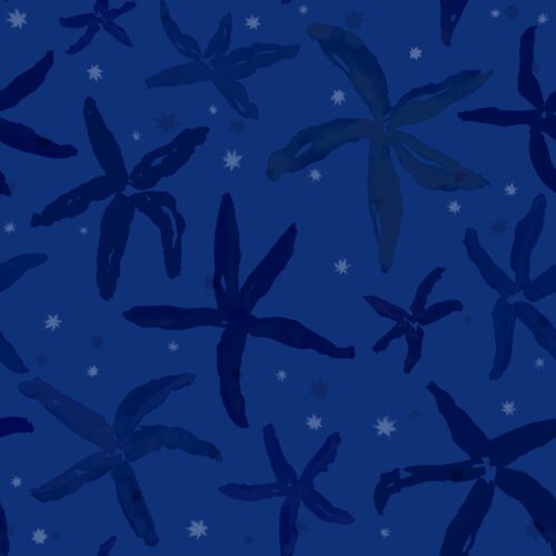 Lindsay Anne - Starfishstaccatodeepseanavy