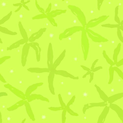 Lindsay Anne - Starfishstaccatoluminlime