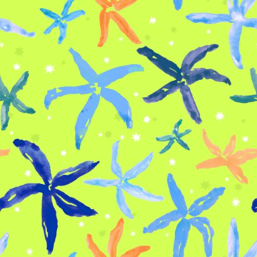 Lindsay Anne - Starfishstaccatoluminlimemulti