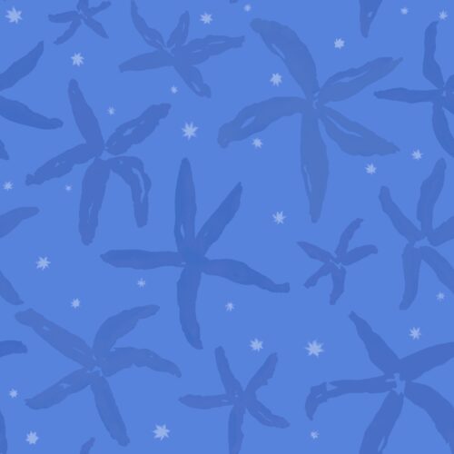 Lindsay Anne - Starfishstaccatosea