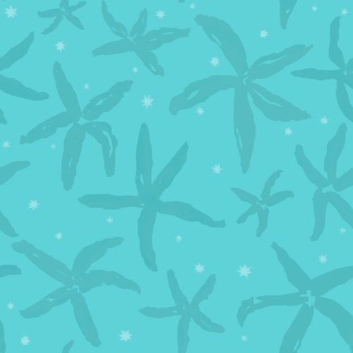 Lindsay Anne - Starfishstaccatoturqouisewaters