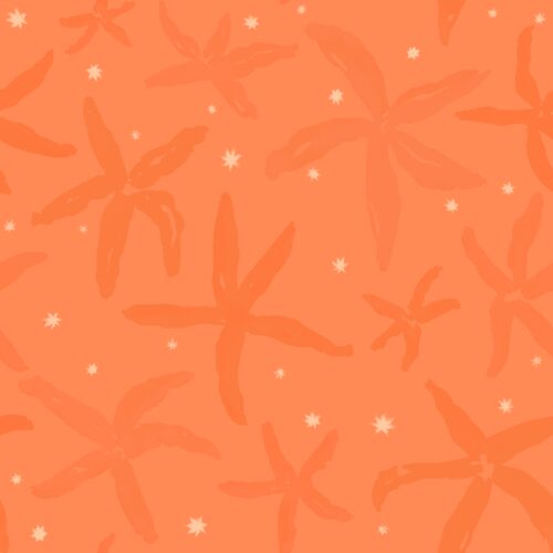Lindsay Anne - Starfishstaccatoreeforange
