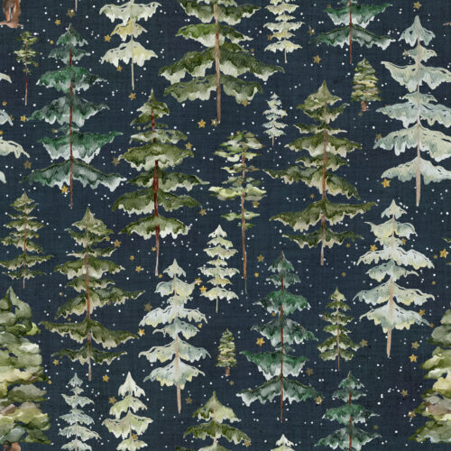 Hip Kid Design - Starry Night Sky Forest (1)