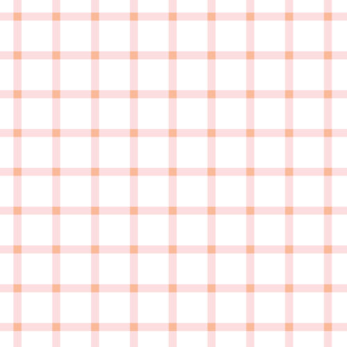 Indy Bloom Designs - Strawberry Orange Gingham