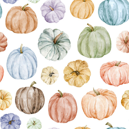 Hip Kid Design - Sugar Pumpkins