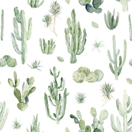 Hip Kid Design - Summer Cactus