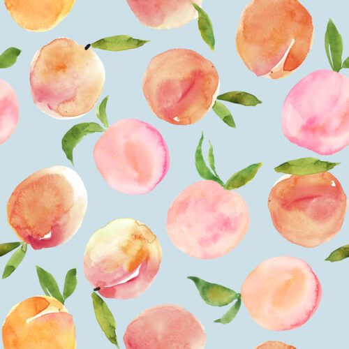 Hip Kid Design - Summer Peaches on Duck Egg Blue