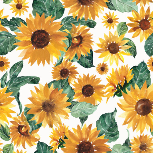 Hip Kid Design - Sunflower Dreams