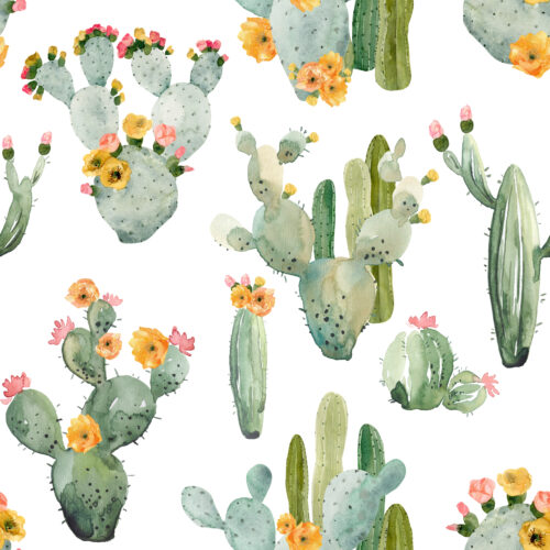 Hip Kid Design - Sunset Desert Cactus