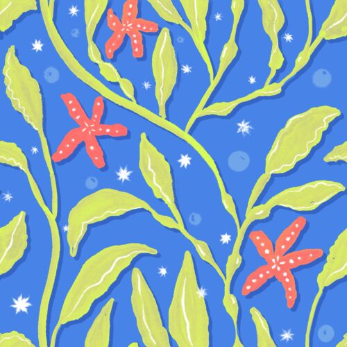 Lindsay Anne - Swayingseagrasssymphonysealime