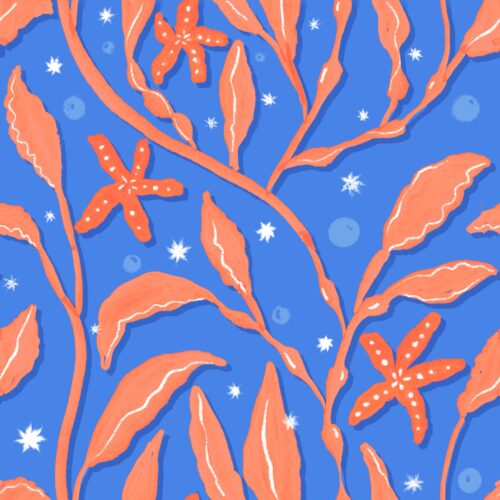 Lindsay Anne - Swayingseagrasssymphonyseacoral