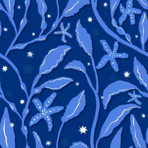 Lindsay Anne - Swayingseagrasssympphonydeepoceannavy