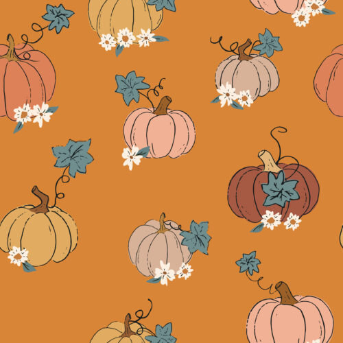Juniper Row - Sweet Pumpkin On Orange 04