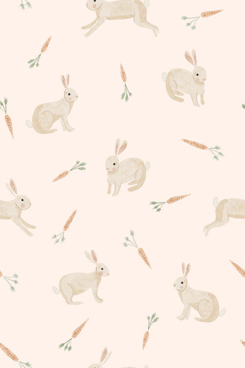 TMM Bunnies and carrots blush