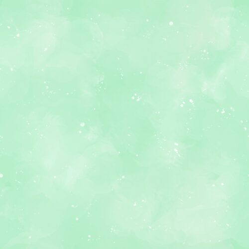 Lindsay Anne - Textured Solid Green