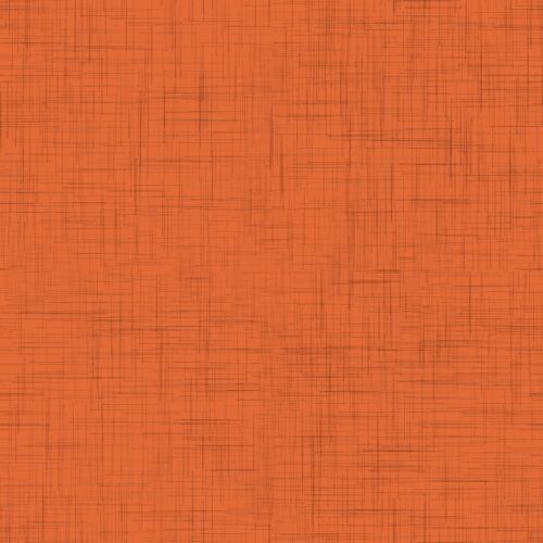 Lindsay Anne - Textured Solid   Jack O Lantern