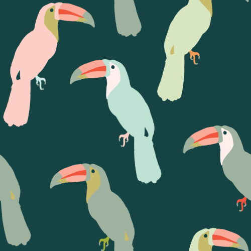 Indy Bloom Designs - Toucan