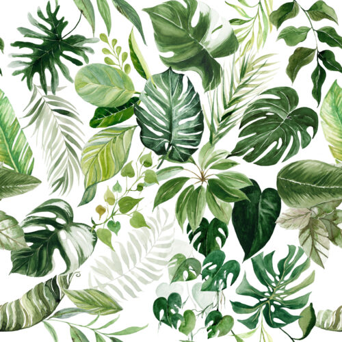 Hip Kid Design - Tropical Paradise