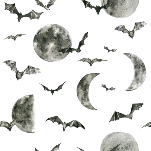 Hip Kid Design - Twilight Night