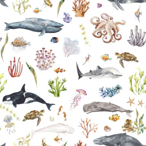 Hip Kid Design - Under the Sea: Marine Life