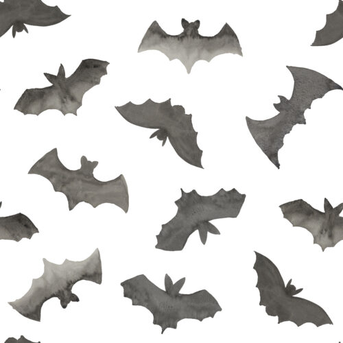 Hip Kid Design - Watercolor Bats