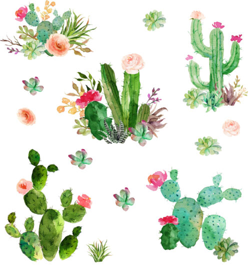 Hip Kid Design - Watercolor Cactus and Succulents