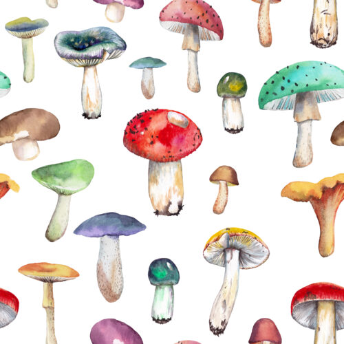 Hip Kid Design - Watercolor Mushrooms